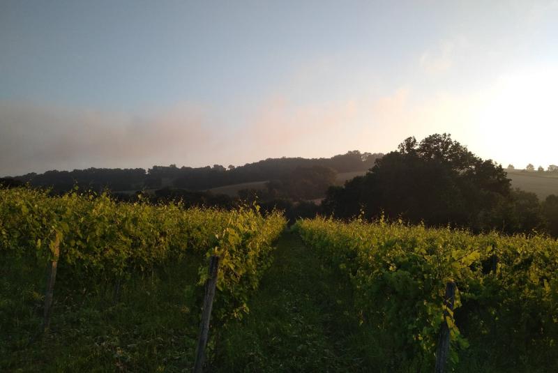 Domaine le Rosier d'Angélique