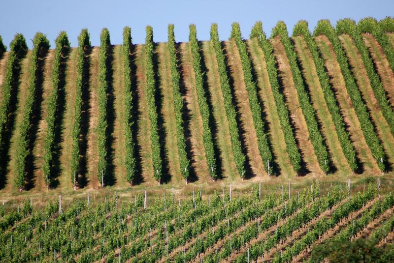 Domaine de Maouries