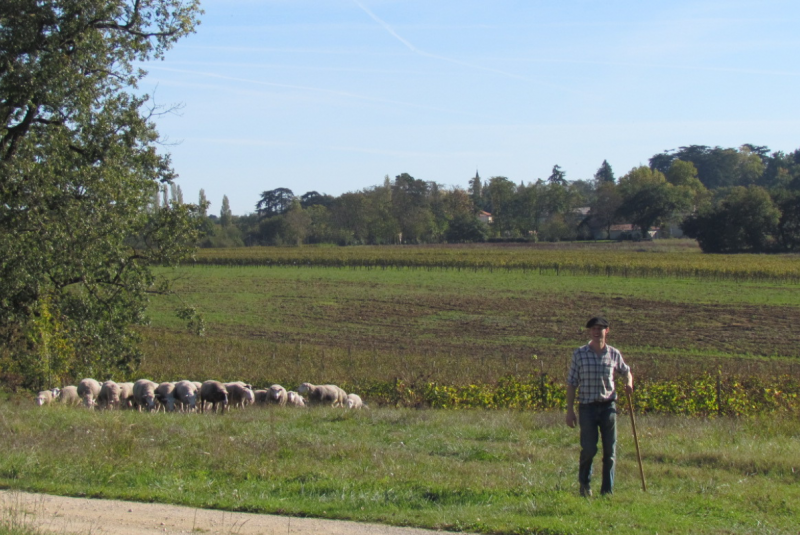 GAEC de la Romane
