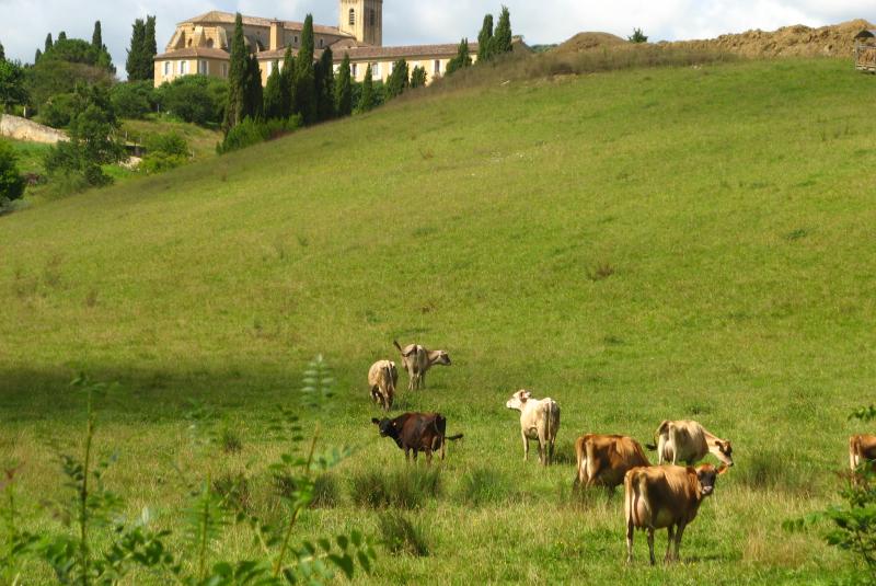 Abbaye Sainte-Marie de Boulaur