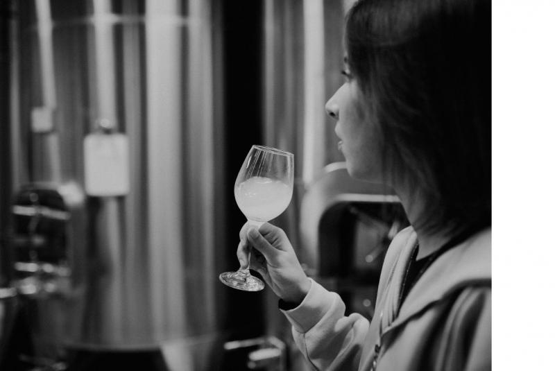 Domaine de Bazin