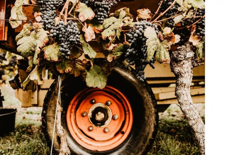 Domaine de Maouries