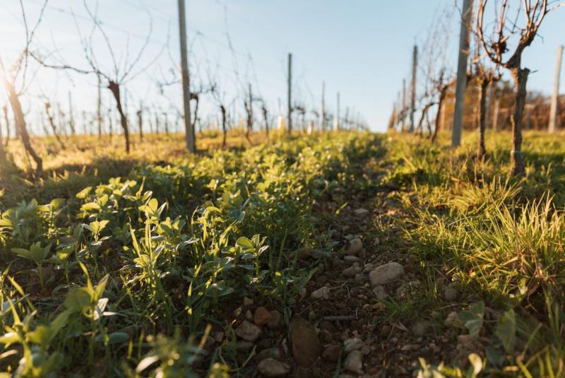 Domaine de Maouries