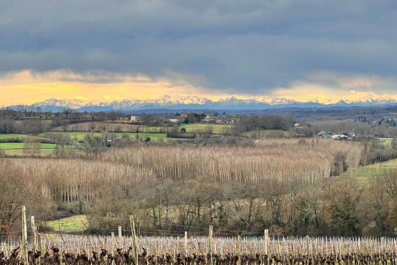 Domaine de la Haille