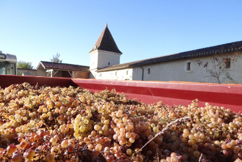 RV au Domaine de Herrebouc avec le Chef Eric MAUPAS