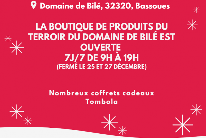 NOËL FERMIER AU DOMAINE DE BILE