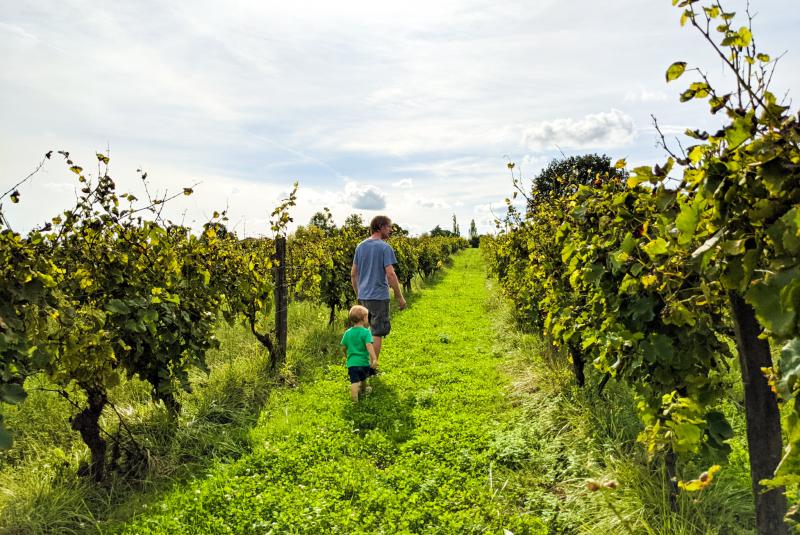 Domaine de Pajot