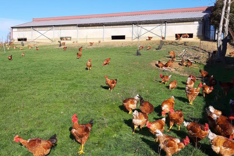 La Ferme d'en Peyrusse
