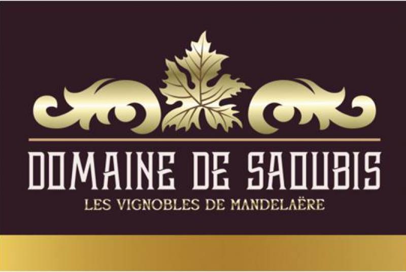 DOMAINE DE SAOUBIS