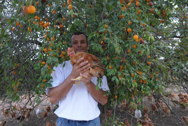 Structuration des approvisionnements