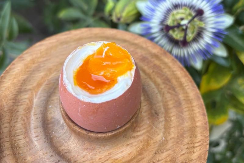Mimosa, l'Oeuf Bio Gersois
