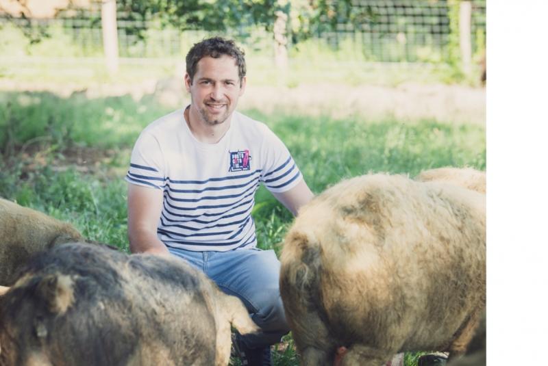 Lou Rey du Cochon