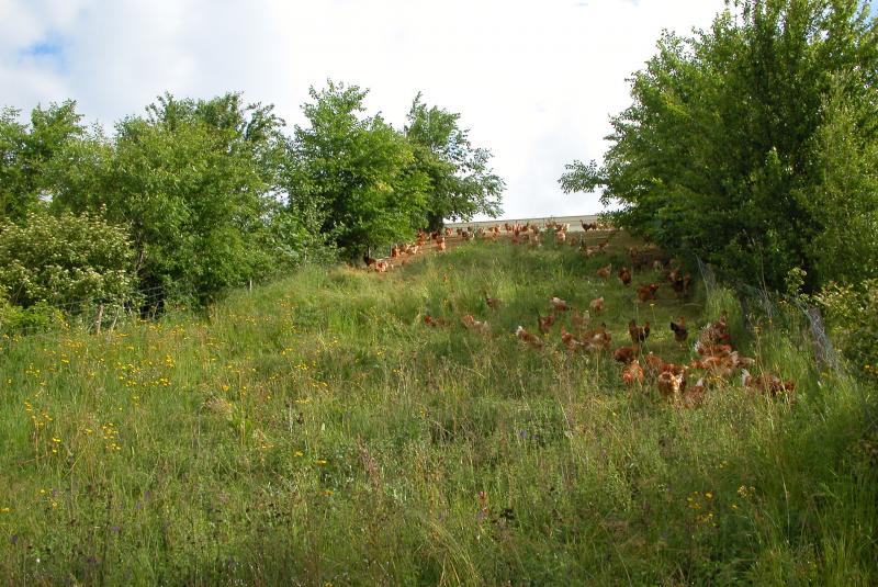 Le programme Qu'alim