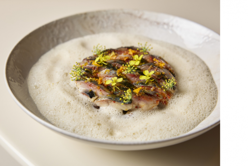 Maquereau en feuille à feuille, risotto de lentilles du Gers, écume de coquillages
