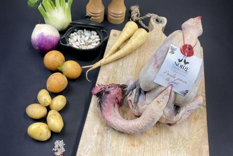 Poule au pot Noire d'Astarac Bigorre