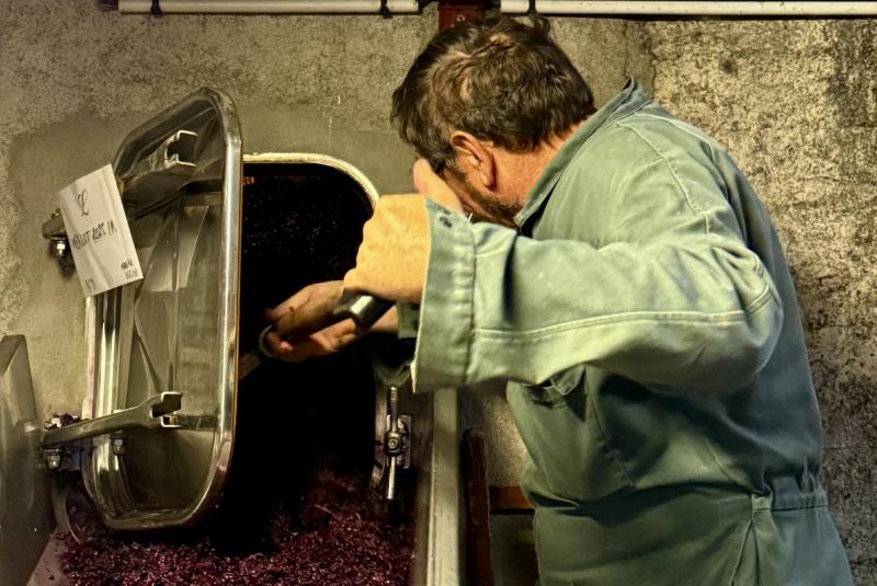 Domaine du Château Larroque