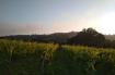 Domaine le Rosier d'Angélique