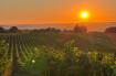 Domaine de la Tuilerie