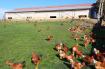La Ferme d'en Peyrusse