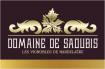 DOMAINE DE SAOUBIS